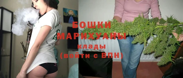 гидропоника Бородино