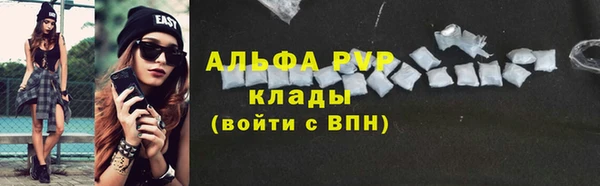 твердый Богданович