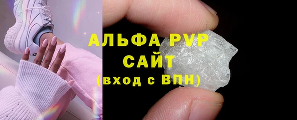 твердый Богданович