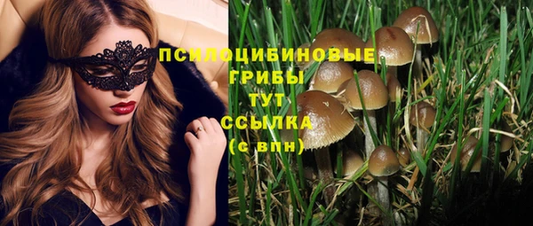 дурь Белокуриха