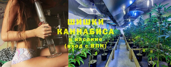 прущие грибы Бугульма