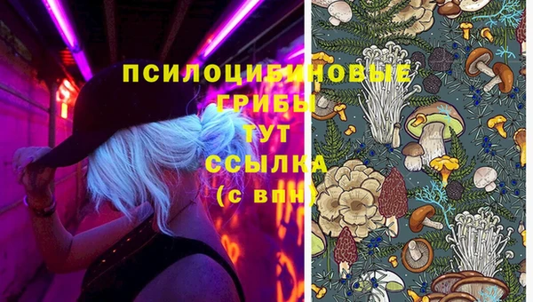 твердый Богданович