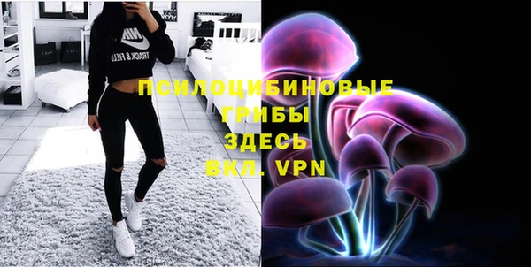 МДПВ Бронницы