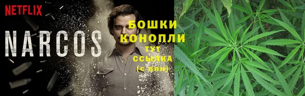 ешки Богородицк