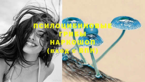 твердый Богданович