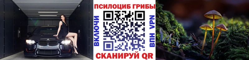 Псилоцибиновые грибы Psilocybine cubensis  Верхняя Тура 